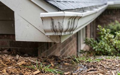 How to Identify a Leaking Gutter Corner Before it Rots Your Fascia